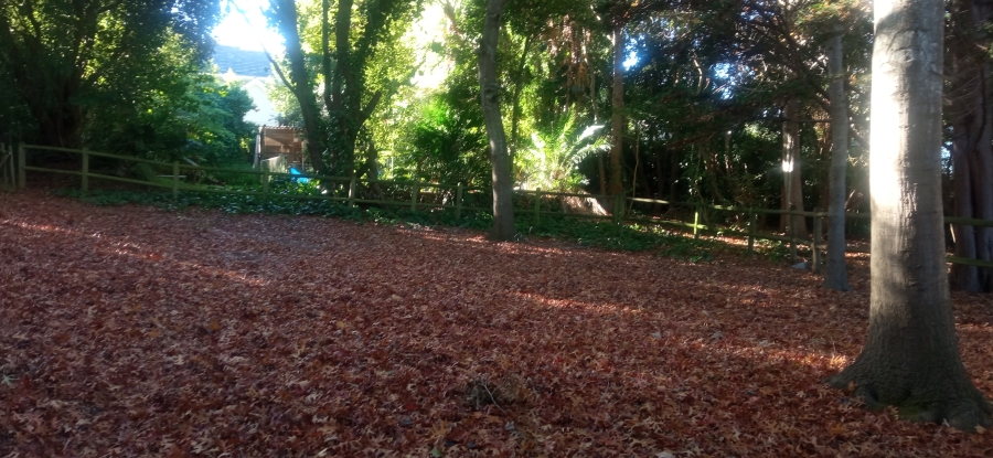 To Let 1 Bedroom Property for Rent in Constantia Western Cape